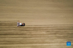 Tractors sow cotton seeds in farm near village of Plagiari in Greece