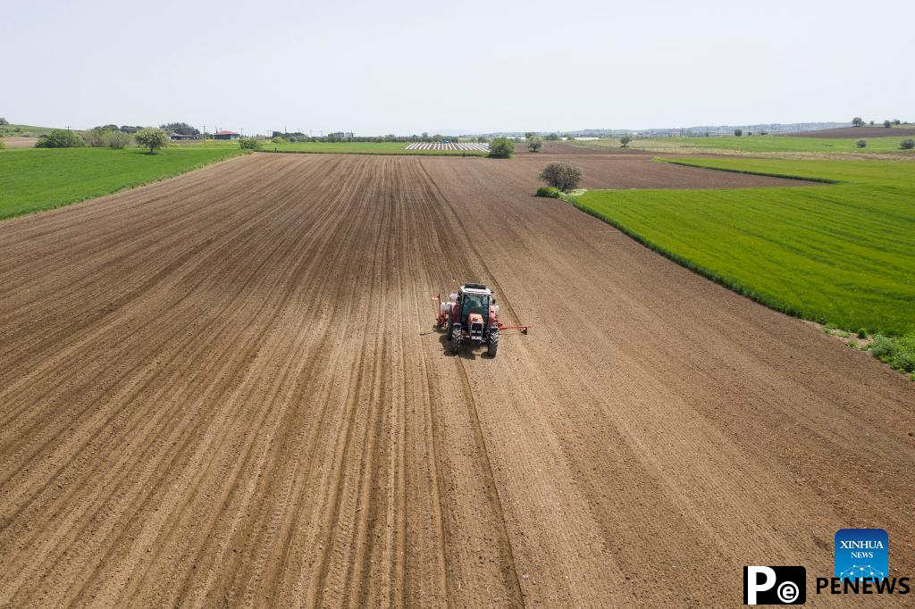 Tractors sow cotton seeds in farm near village of Plagiari in Greece