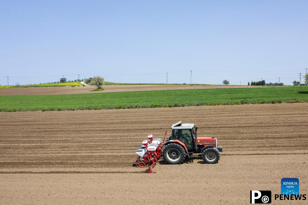 Tractors sow cotton seeds in farm near village of Plagiari in Greece