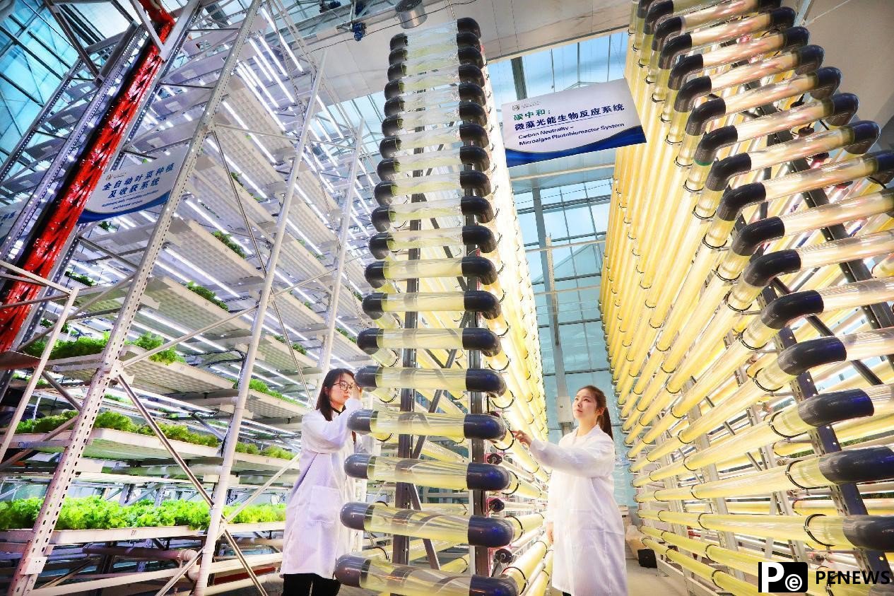 China’s biological economy gets on higher stage