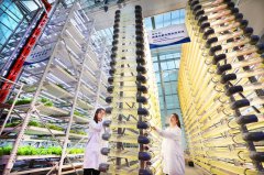 China’s biological economy gets on higher stage