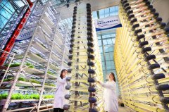China’s biological economy gets on higher stage