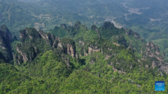 Aerial view of Wulingyuan scenic area in Hunan