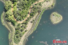 Heart-shaped island in Nanjing's park attacks visitors