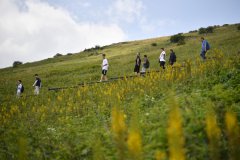 Nice and cool resort in China's Qinling Mountains attracts tourists in hot summer