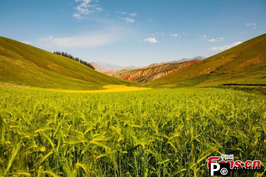 Magnificent mountain scenery in Qinghai