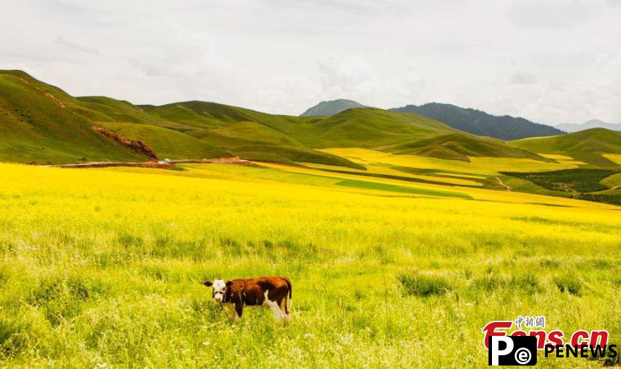 Magnificent mountain scenery in Qinghai