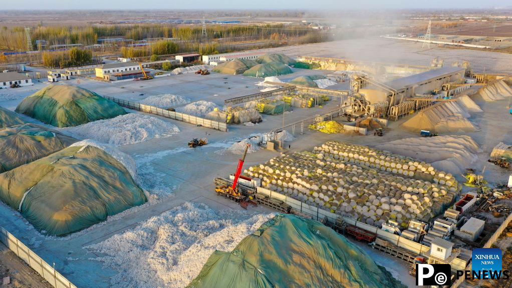 Cotton harvest comes to end in Xayar County, NW China