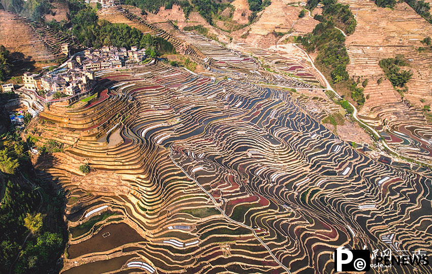 Spring farming gets going on SW China