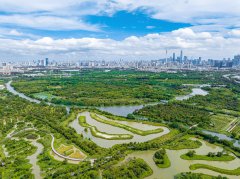 Glimpse of Haizhu Wetland on central axis of Guangzhou, S China