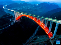 Exploring the museum of world bridges in SW China