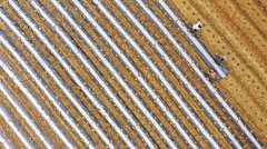 China to give one-off subsidies to crop-growing farmers