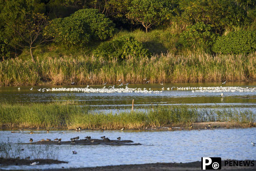 Global warming can reduce wetlands