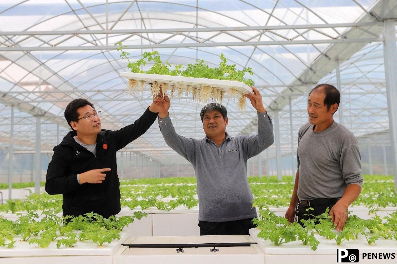 Agricultural expert benefits farmers with aeroponics