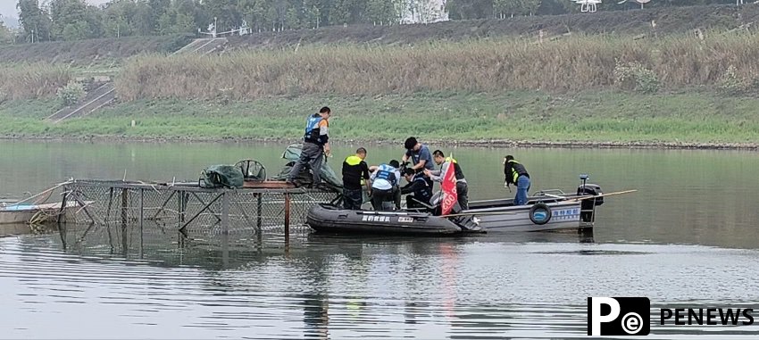 Breeding experiment proves to be successful as Yangtze sturgeon reproduces in the wild for first time in 23 years