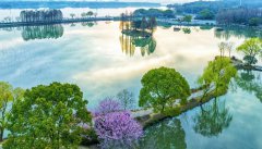 Early-flowering cherry blossoms in full bloom in E China’s Jiangsu