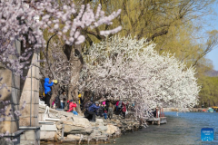 View of Summer Palace in Beijing