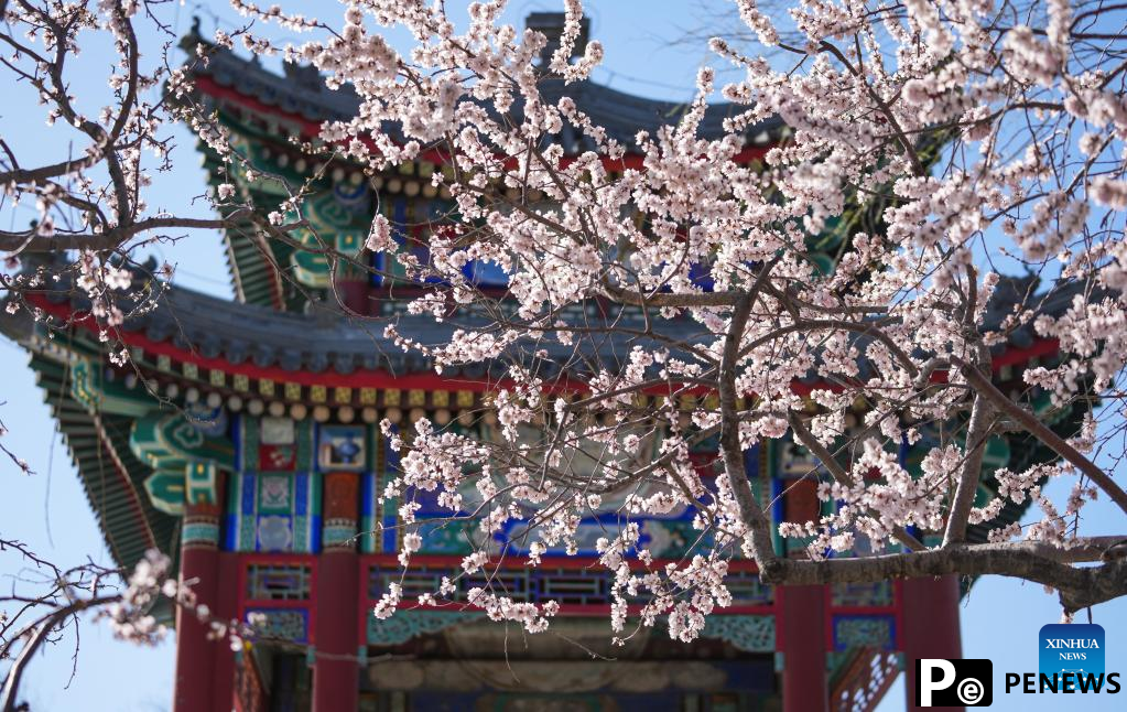 View of Summer Palace in Beijing