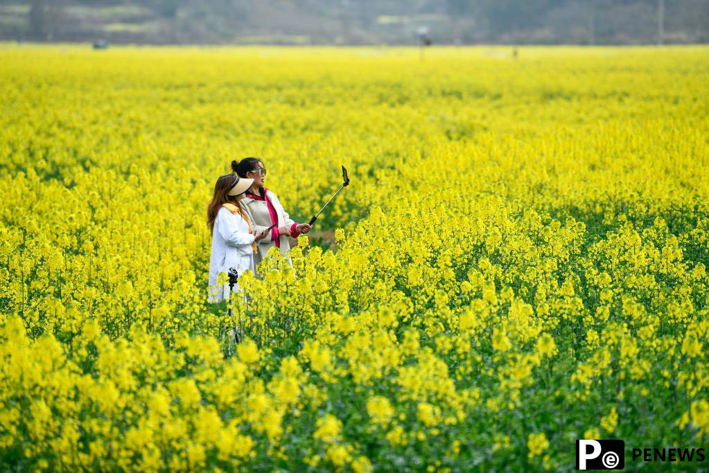 Tours turn flowers into wealth in rural areas