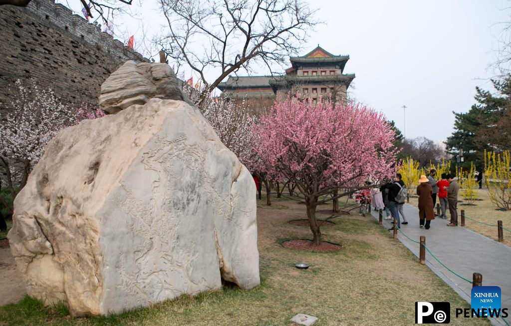 Blooming flowers attract tourists to Ming City Wall Site Park in Beijing