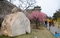 Blooming flowers attract tourists to Ming City Wall Site Park in Beijing