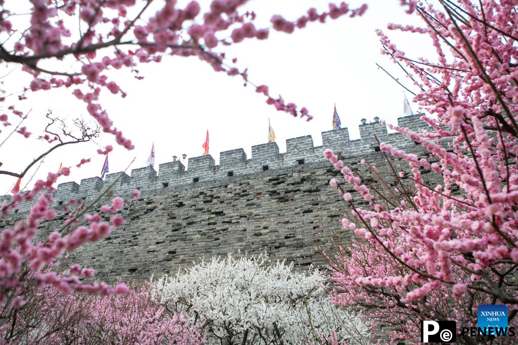 Blooming flowers attract tourists to Ming City Wall Site Park in Beijing