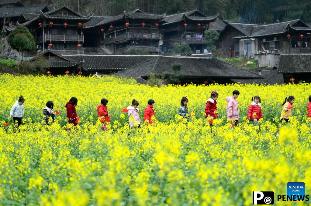 Cole flowers in full bloom attract tourists in China