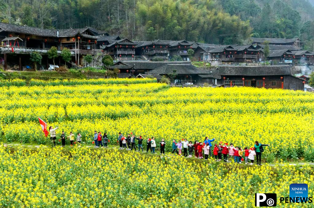 Cole flowers in full bloom attract tourists in China