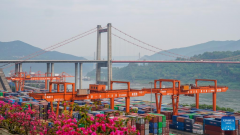 Cargo throughput of Guoyuan Port reaches 6.19 million tonnes in first quarter of 2023