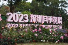 In pics: Beauty of roses attracts visitors to 2023 Shenzhen Rose Show