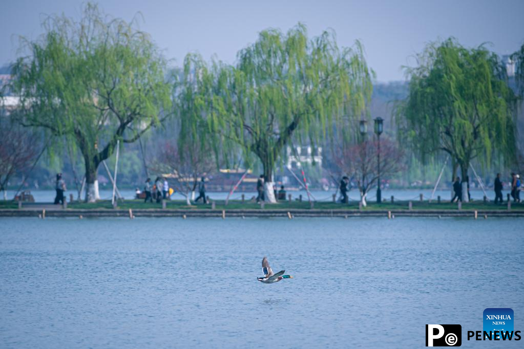 Zhejiang makes efforts in water environment management