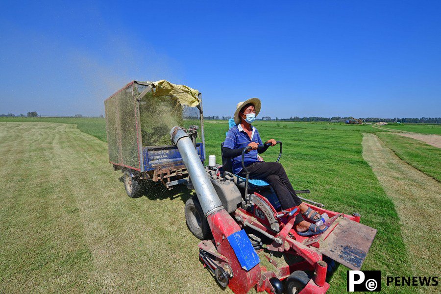 Sci-tech workers assist farmers in agricultural production in central China