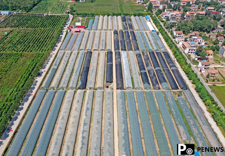 Sci-tech workers assist farmers in agricultural production in central China