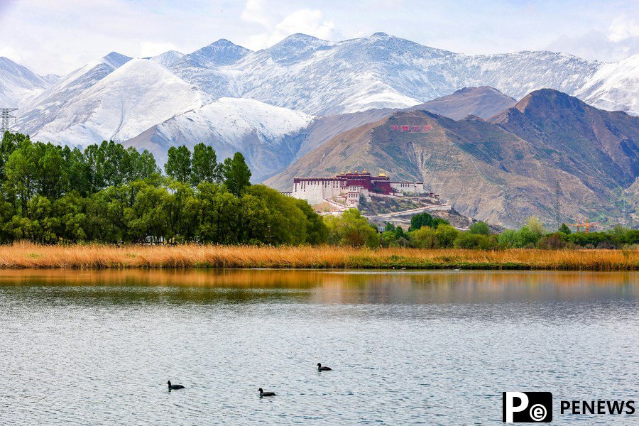 72 years on, Tibet steadfastly advances on path of Chinese modernization
