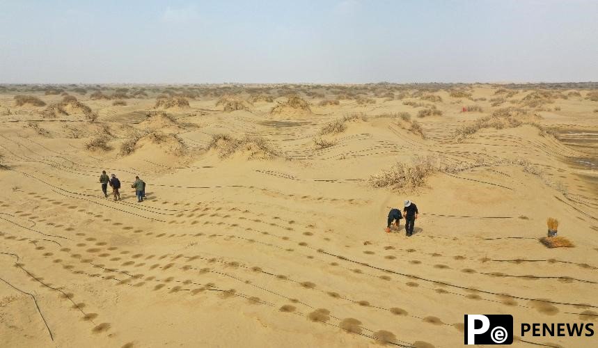 China writes new chapters of desertification control