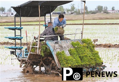 China takes measures to transform saline-alkaline land into fertile soil