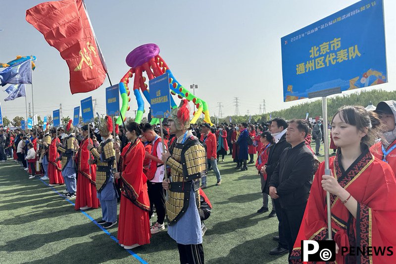 International kite festival opens in NW China