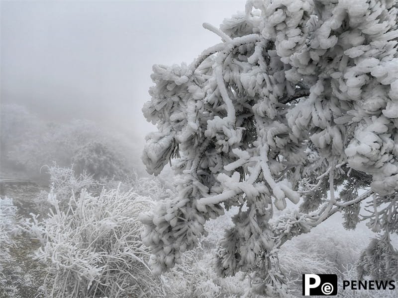 Beautiful rimes decorate Taishan Mountain in E China