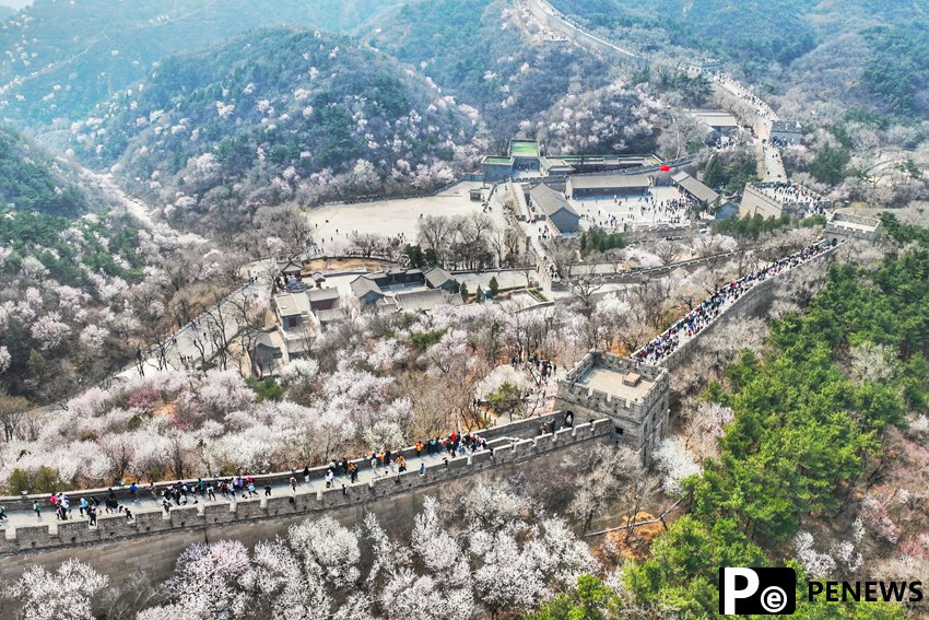 In pics: Flowers in full bloom at Great Wall