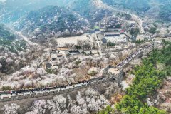 In pics: Flowers in full bloom at Great Wall