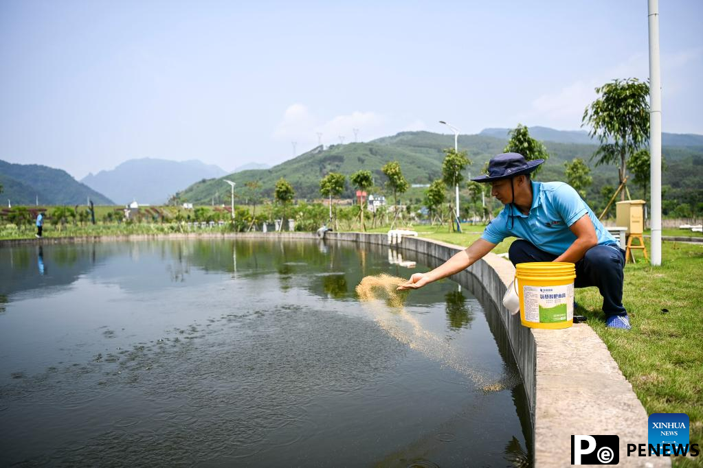 Dateng Gorge water conservancy project under construction in Guiping, S China