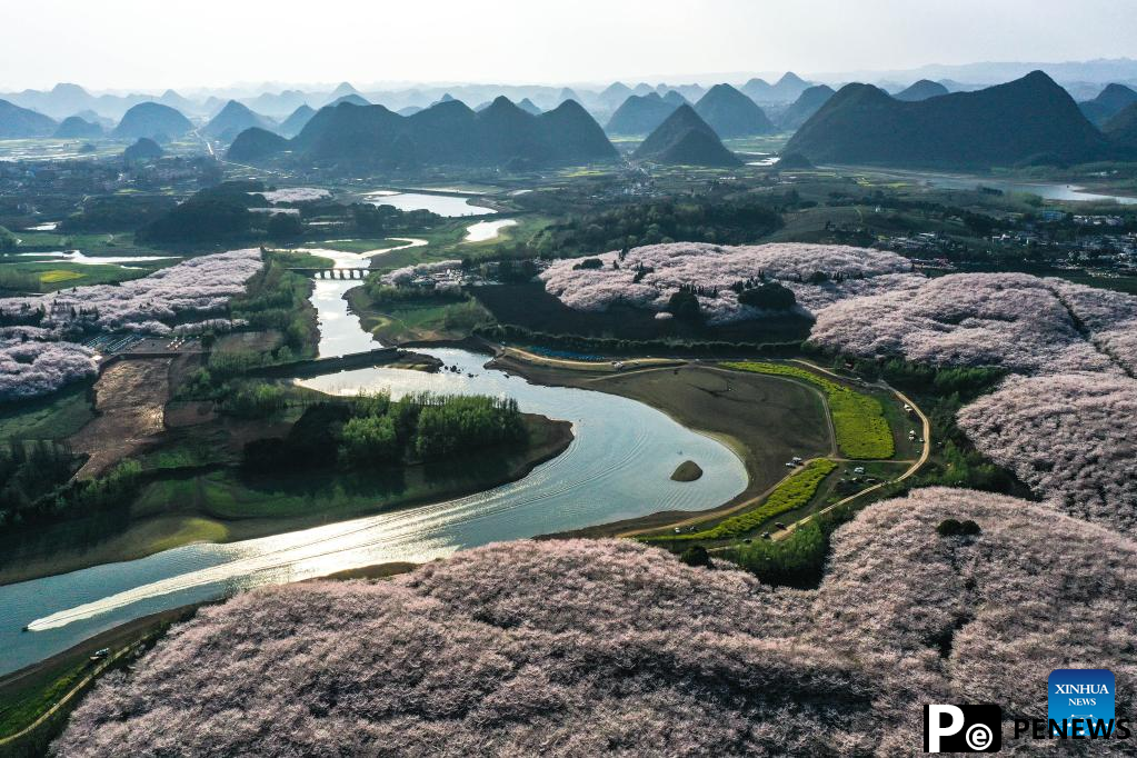 Spring scenery in SW China