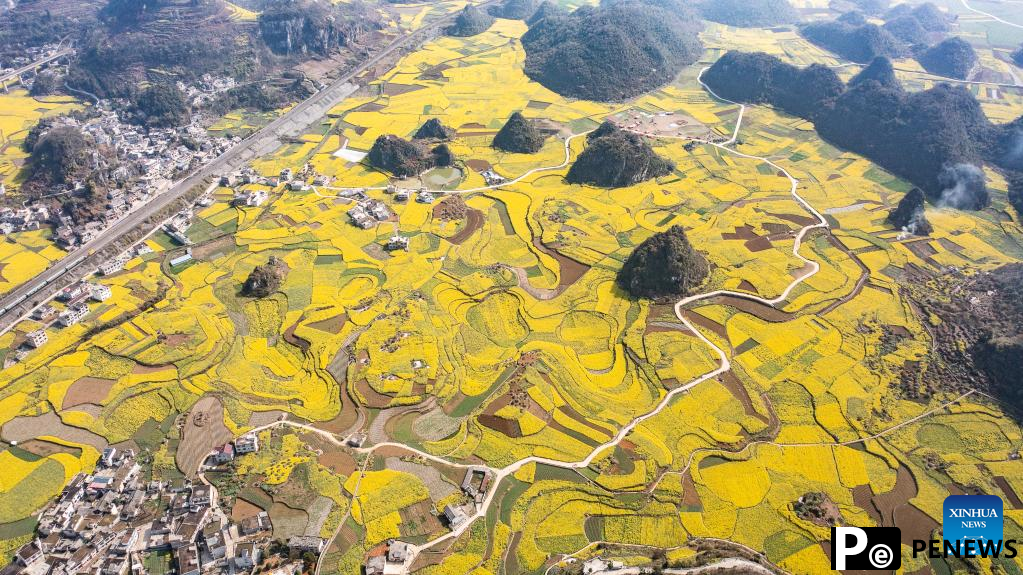 Spring scenery in SW China