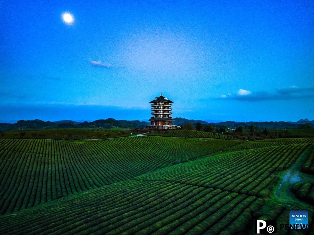 Spring scenery in SW China