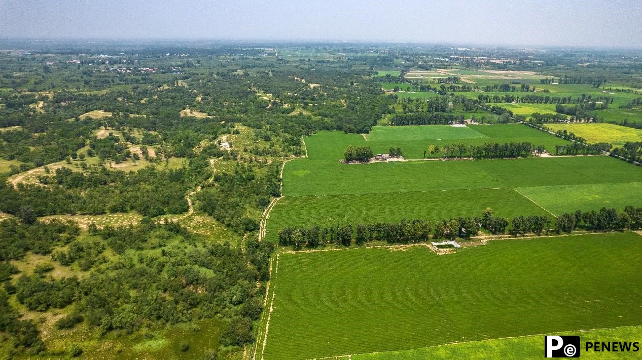 China builds strong ecological barrier with science-based desertification control