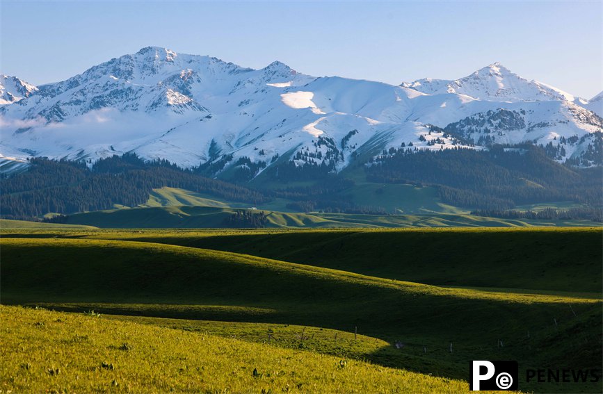 In pics: Beautiful scenery of Narat Grasslands in NW China