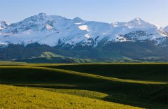 In pics: Beautiful scenery of Narat Grasslands in NW China's Xinjiang