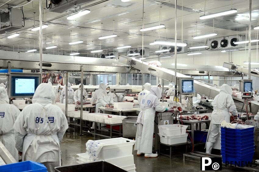 Animal husbandry sees broad prospects in digitalization