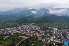 Jinhua in east China fosters rural industrial development belt