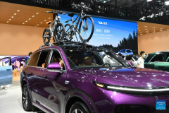 Greater Bay Area Int'l Auto Show kicks off in Shenzhen